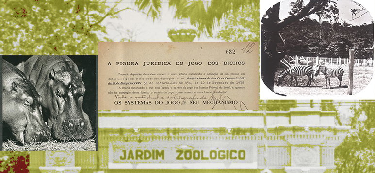 A história do Jogo do Bicho, a loteria que virou febre - Blog do